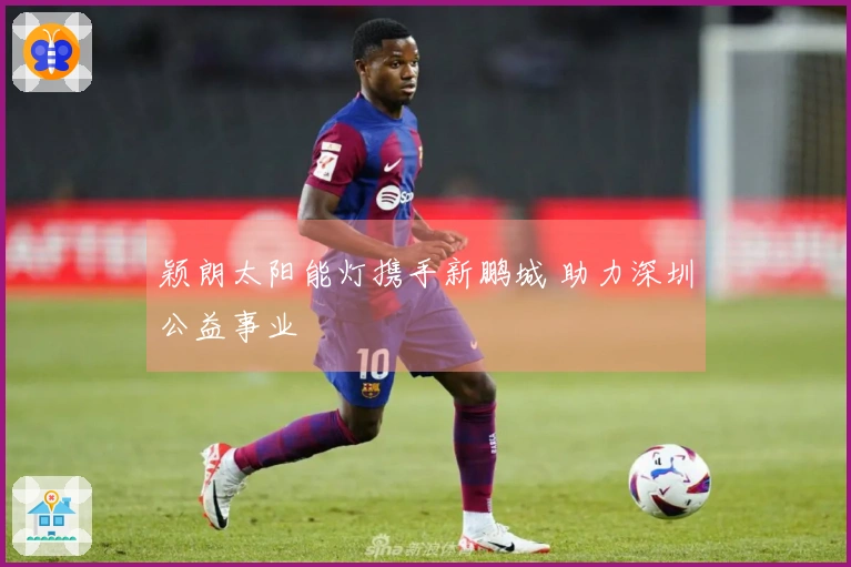 颖朗太阳能灯携手新鹏城 助力深圳公益事业