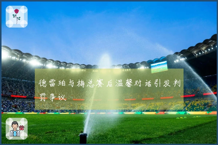 德雷珀与梅总赛后温馨对话引发判罚争议